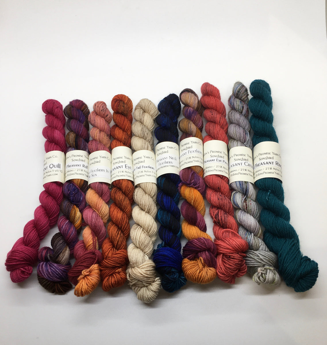 Big Little Yarn Co. Superwash Merino Nylon Sock - River Colors Studio