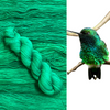 Western Emerald Hummingbird Feather Dark