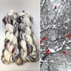 Cardinals, Branches and Snow