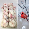 Cardinal Feathers On Snow