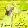 Sulphur Butterfly Wing