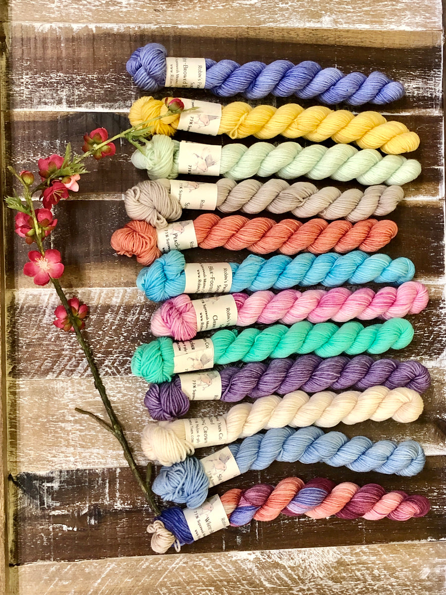 Spring Collection 12miniskein Kit Robin's Promise Yarn Co.