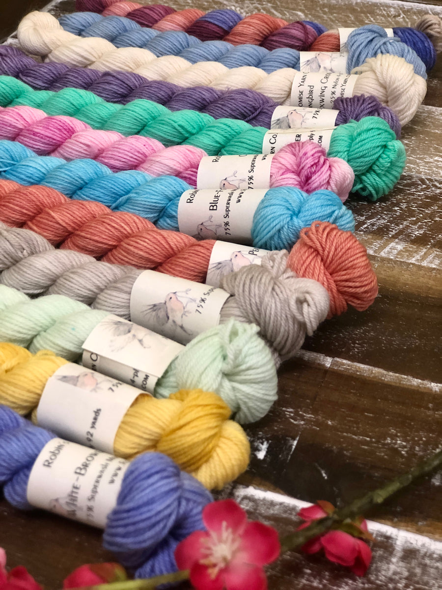 Spring Collection 12miniskein Kit Robin's Promise Yarn Co.