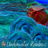 Underwater Rainbow